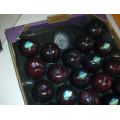 Type de processus de boursouflure Prune alvéolaire d&#39;alvéole emploient l&#39;emballage de fruit de plateau de Punnet avec la norme d&#39;exportation pour l&#39;affichage dans le marché